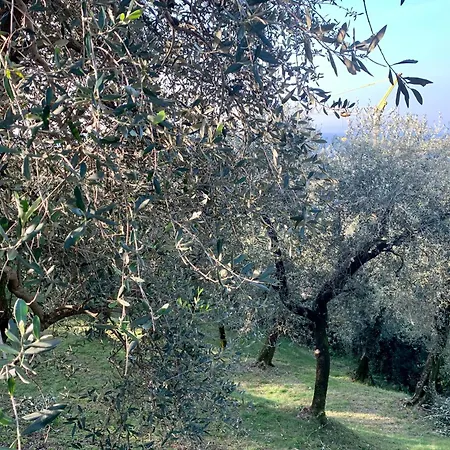 Casa Prima Vista *